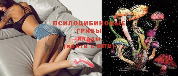 скорость Арсеньев